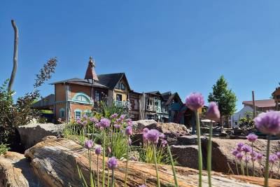 Foto: Katrin Richter