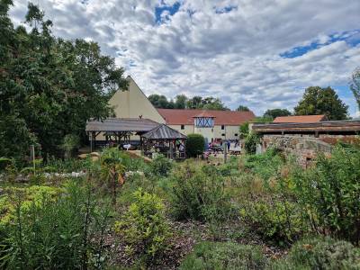 Blick in den Hof beim Pflegekinderfest im Park Canitz