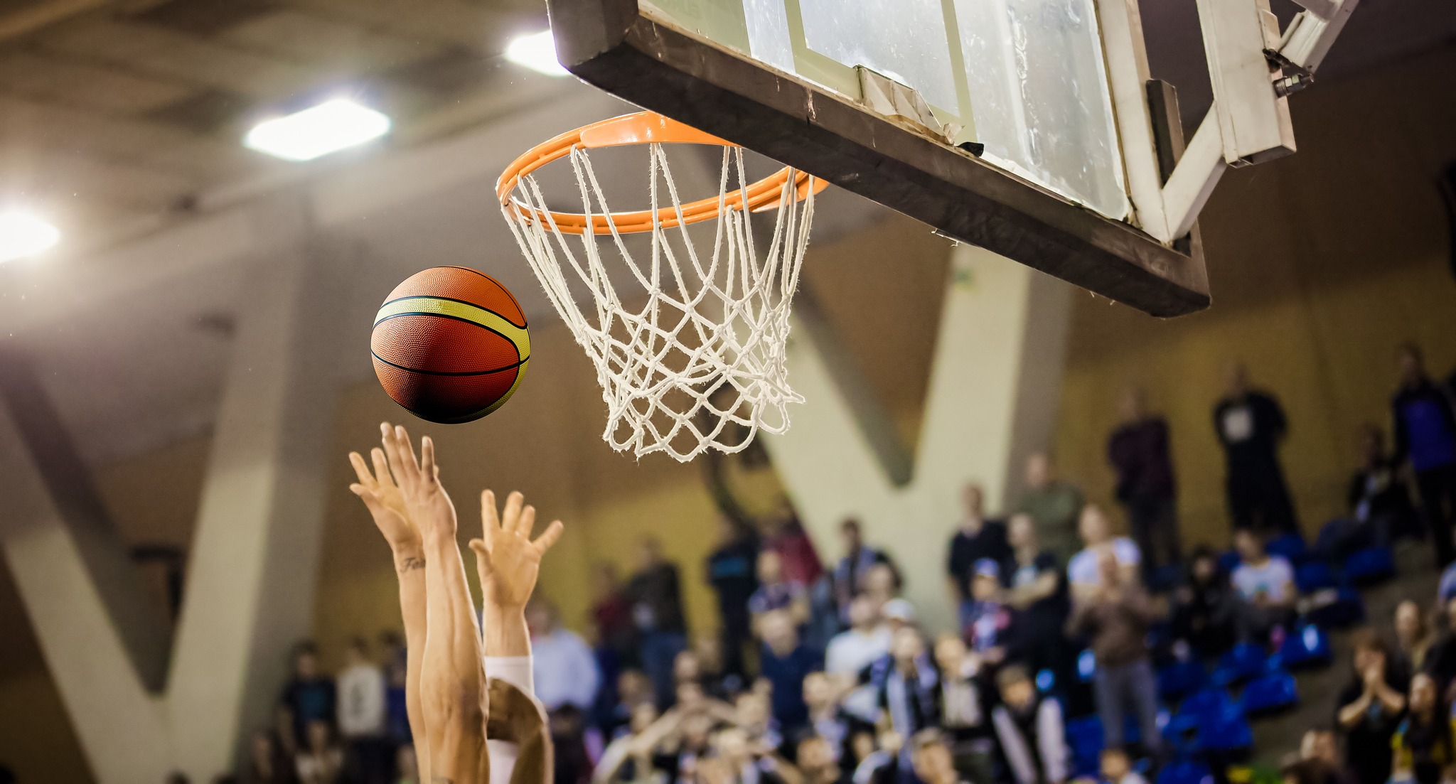 Symbolbild: Adobe Stock – Melinda Nagy Basketball