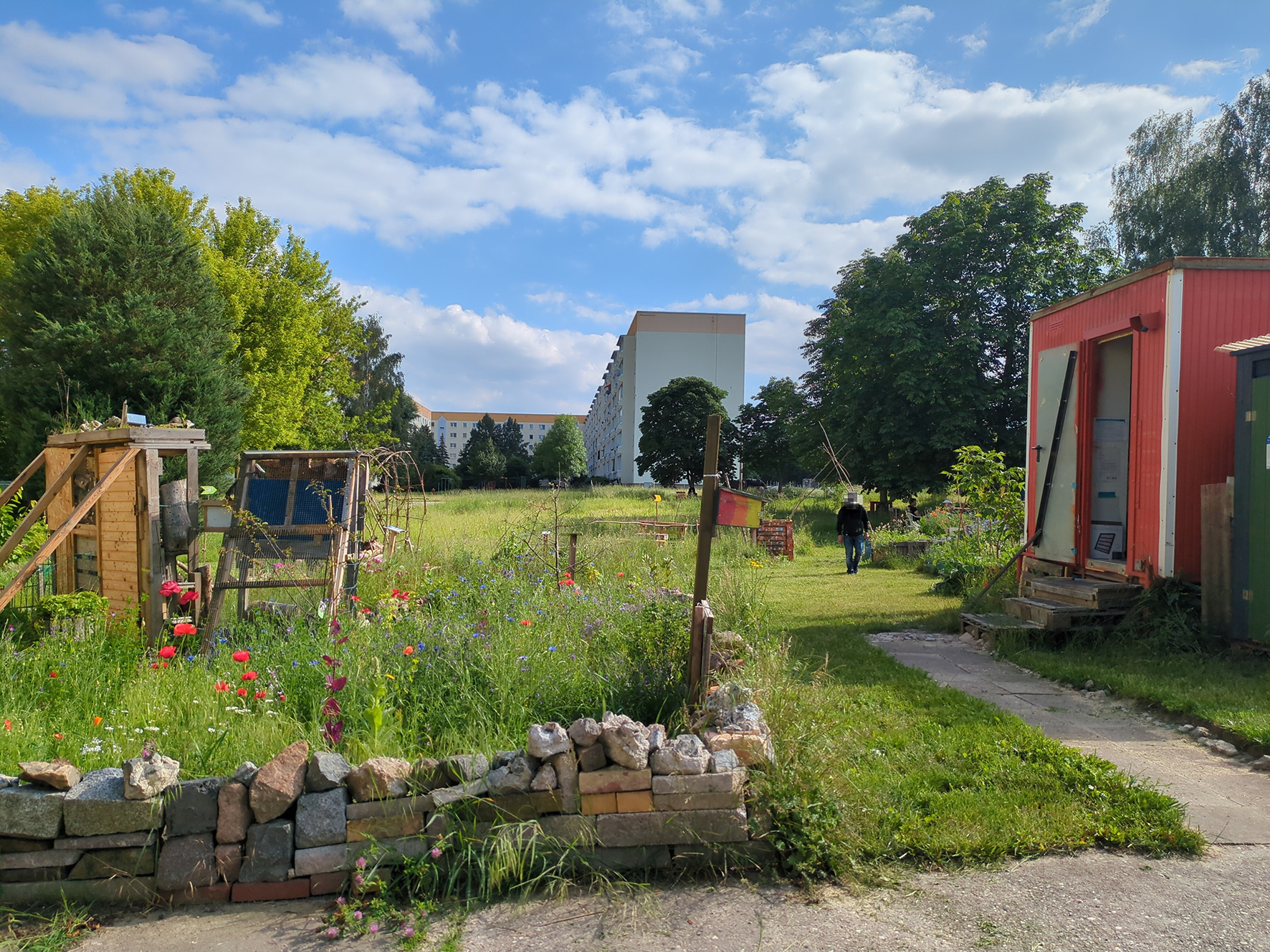 Ein Sommer zum Entdecken und Mitmachen bei den Zukunftsgärtner(n) in Gnandorf PM_NABU