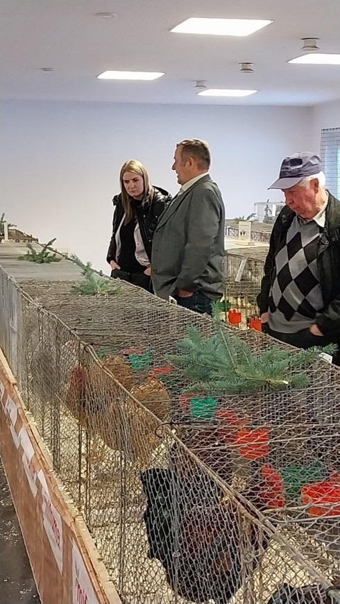 Rassegeflügelschau in Ammelshain RGZV%20Ammelshain%20e.V.%202