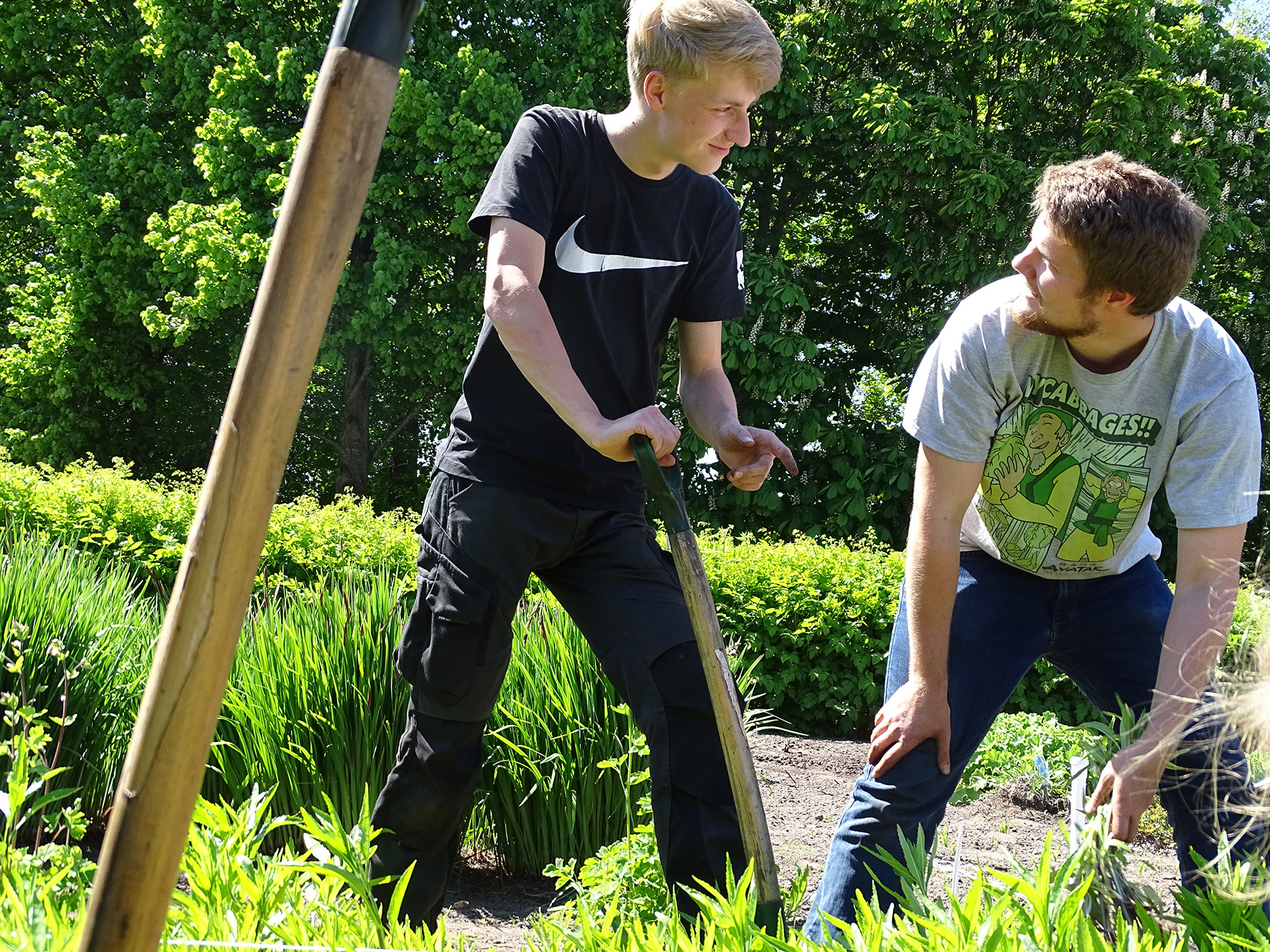 Bei der Gartenpflege kommen diese Azubis ins Gespräch. Erasmus