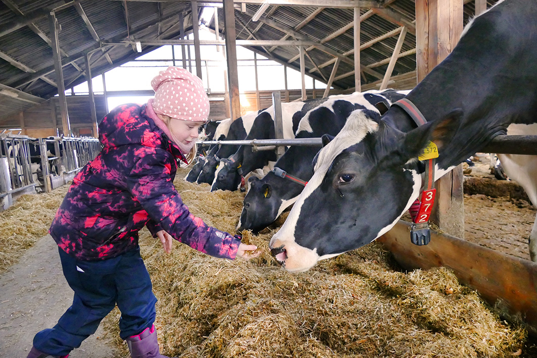 besuch_kita_meltewitz_im_kuhstall_a